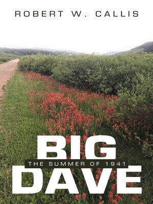 cover image of Big Dave